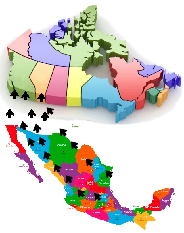 Returning To Canada From Mexico